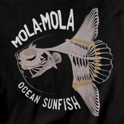large 20170305155954 mola mola ocean fish pict